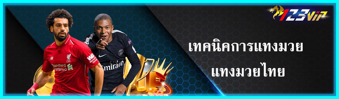 เทคนิคการแทงมวย แทงมวยไทย