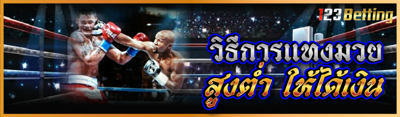 วิธีการแทงมวย สูง-ต่ำ