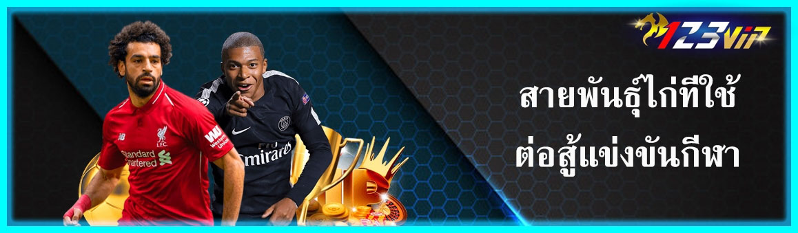 สายพันธุ์ไก่ที่ใช้ต่อสู้แข่งขันกีฬา