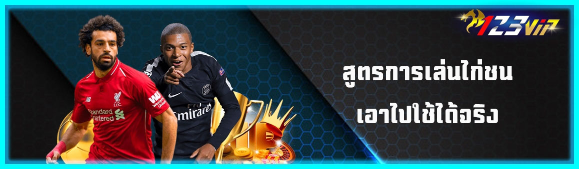 สูตรการเล่นไก่ชนเอาไปใช้ได้จริง